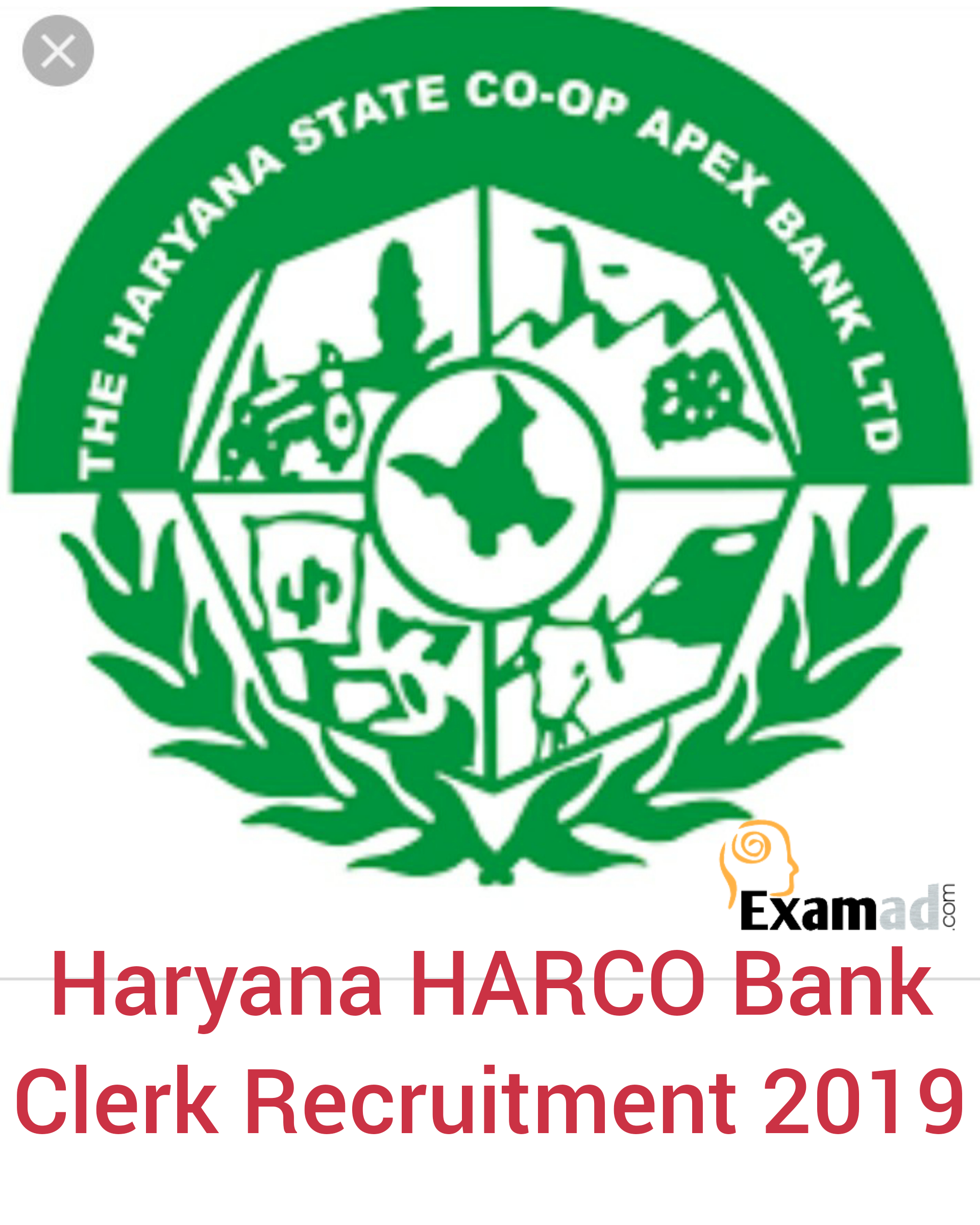 Haryana HARCO Bank Clerk Syllabus and Exam Pattern 2019
